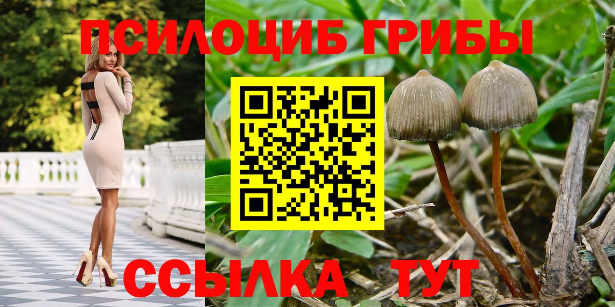 Псилоцибиновые грибы прущие грибы Нарткала